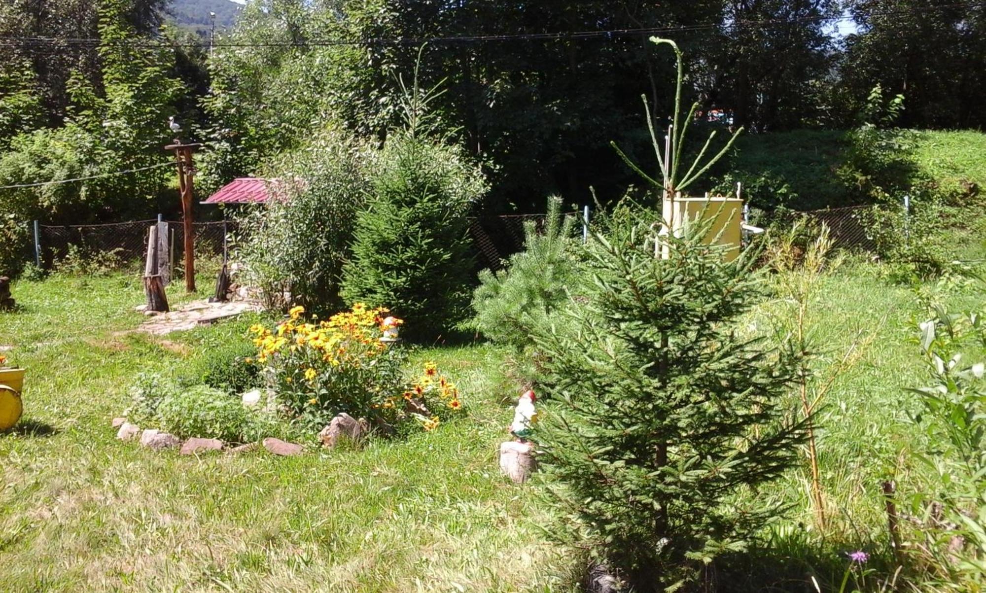 U Pana Ivana Yaremche Ruang foto